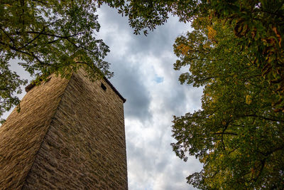 Low angle view of tree by building against sky