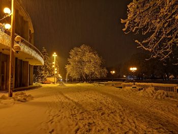 Illuminated street lights by trees during winter at night