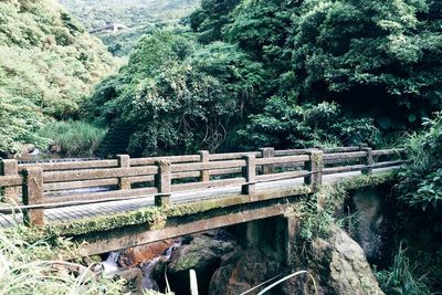 View of footbridge in forest