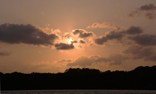 Silhouette trees against sky during sunset