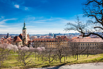 Prague city seen from the petrin gardens at the begining of spring