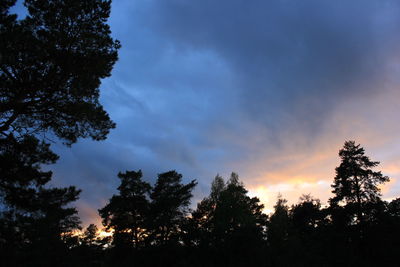Low angle view of silhouette trees against sky