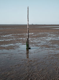 Wooden posts on beach against clear sky