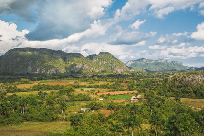 Scenic view of agricultural field against sky