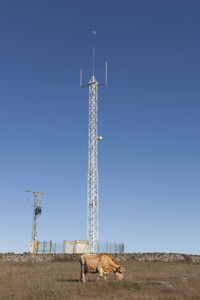 Crane on field against clear sky