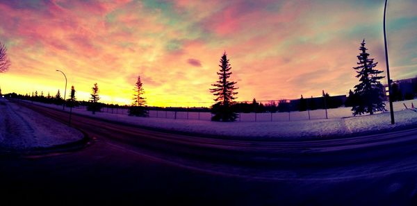 Road at sunset