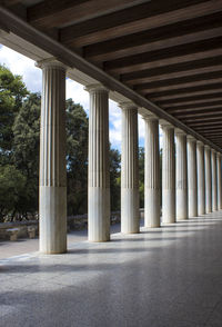 View of bridge and trees in city