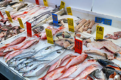Fresh fish for sale at a market seen in the chinatown of new york
