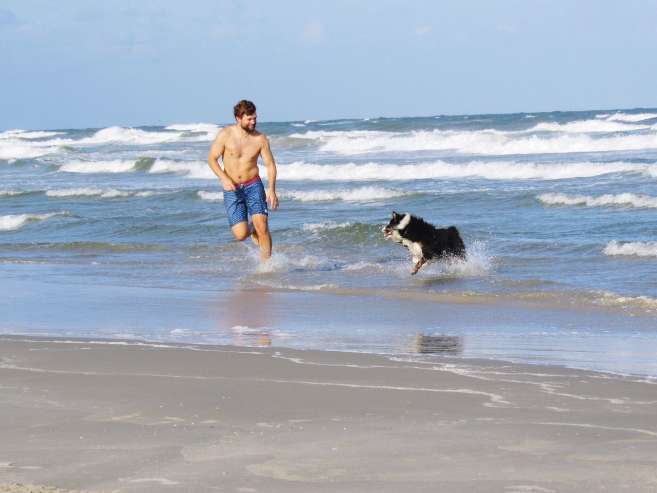 domestic animals, sea, beach, one animal, animal themes, dog, pets, wave, water, mammal, horizon over water, shore, surf, motion, leisure activity, playing, sand, lifestyles, running, pet owner, playful, vacations, full length, surfboard, fun, enjoyment, young adult, summer, day, outdoors, tide, nature