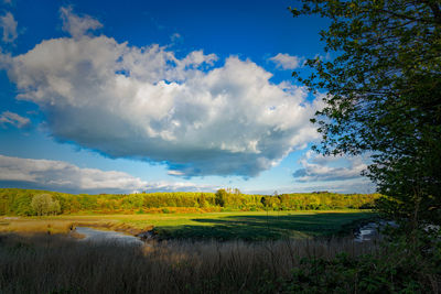 Scenic view of landscape against sky