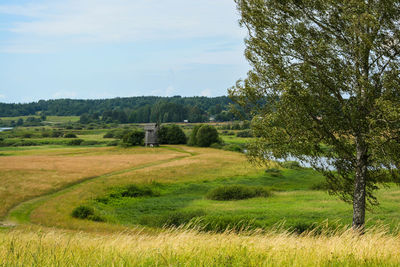 Scenic view of field against sky