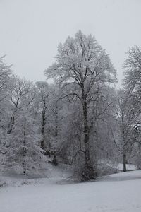 Scenic view of snow covered landscape