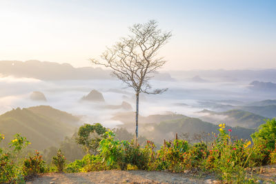 Scenic view of mountains against sky during sunset