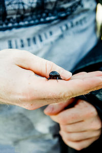 Close-up of hand holding insect