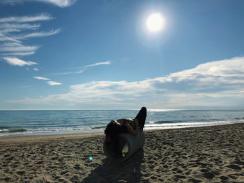 Dog on beach by sea against sky