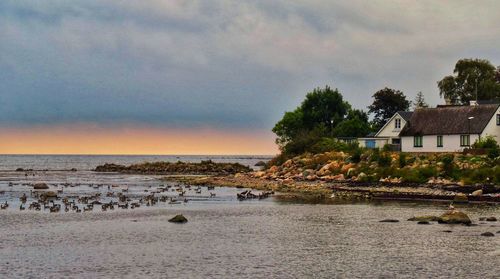 Scenic view of sea and buildings against sky