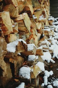 Stack of logs