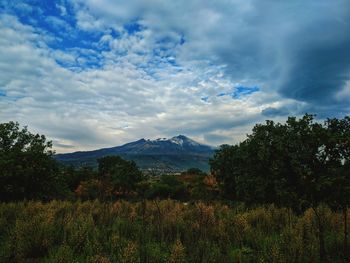 Scenic view of field against sky