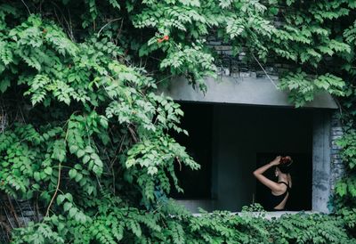 Man standing by tree against plants