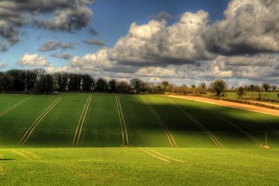 Scenic view of grassy field against cloudy sky