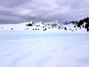 Flock of birds on snow against sky