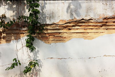 Close-up of weathered wall