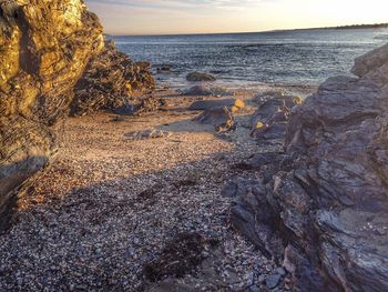 Scenic view of beach