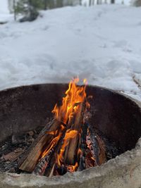 Close-up of fire on log