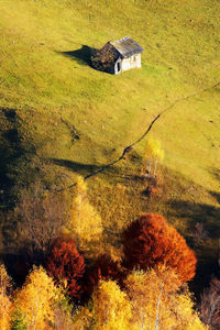 High angle view of barn on green landscape