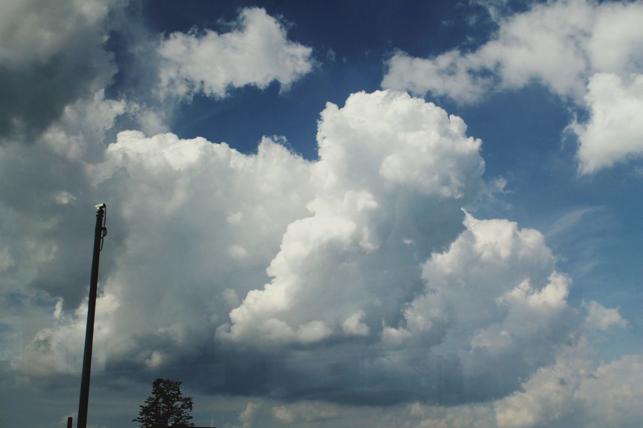 LOW ANGLE VIEW OF CLOUDY SKY OVER PLANTS