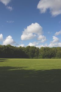 Trees on grassy field against cloudy sky
