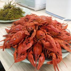 High angle view of red chili peppers in plate on table