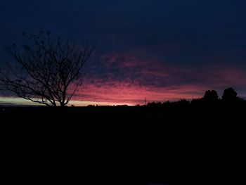 Silhouette bare trees on landscape against sky at sunset