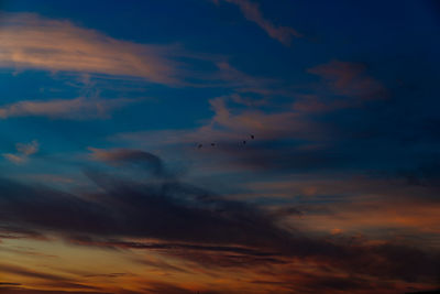 Low angle view of birds flying in sky