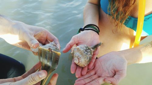 High angle view of friends holding seashells