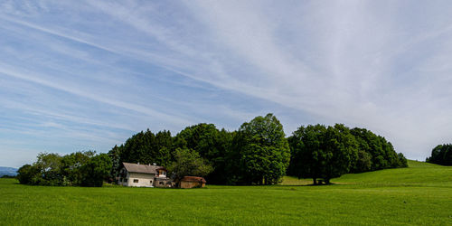 Trees and houses on field against sky