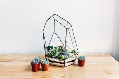 Potted plant on table against wall