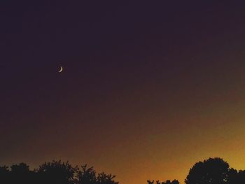 Low angle view of silhouette trees against sky at night