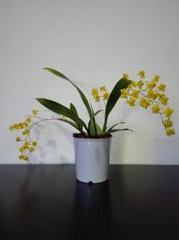 Close-up of flower vase on table at home