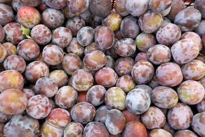 Full frame shot of blueberries