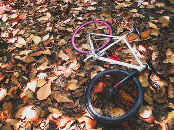 High angle view of dry maple leaves on bicycle