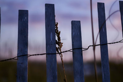 Close-up of fence against sky