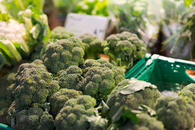 Close-up of vegetables for sale at market stall