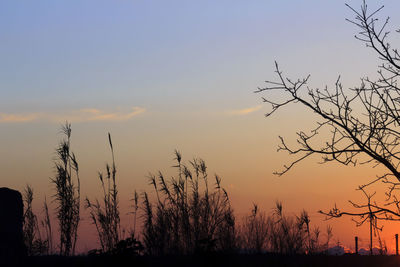 Silhouette bare trees against sky during sunset