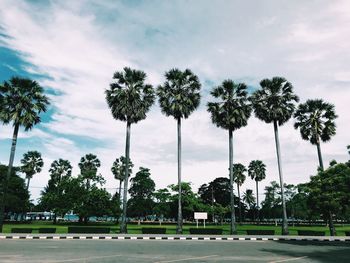 Palm trees on field against sky