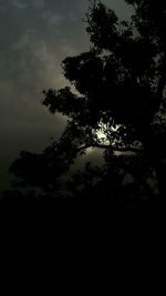 Silhouette of trees against sky