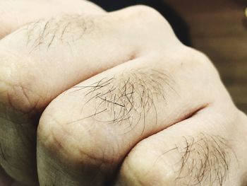 Close-up of hand holding leaf