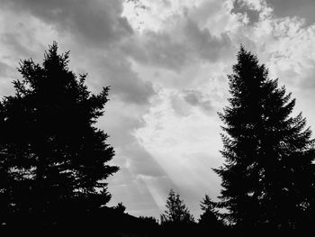 Low angle view of trees against cloudy sky