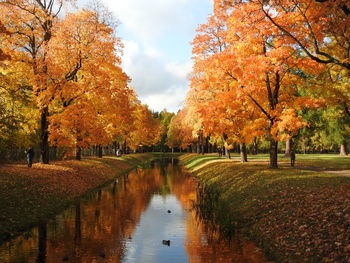 Scenic view of lake by park during autumn