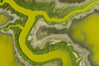 Aerial of strange waterways in sf bay marshland